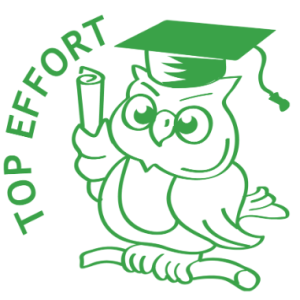 Merit Stamp - Top Effort - Owl
